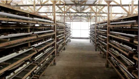 Figure 2.1: Quail Poultry House 