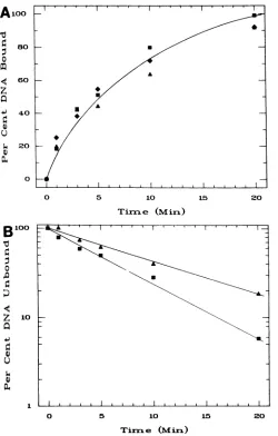 TABLE 1. Stability of EBNA-DNA complexa