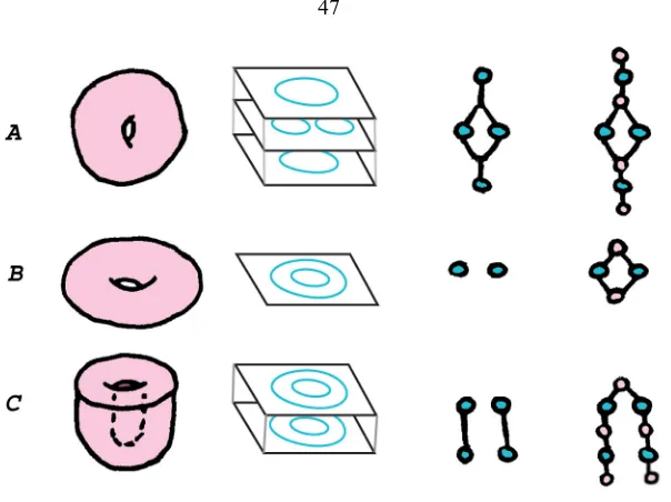 Figure 4.9: Example Reeb graphsExample surfaces and their associated level sets, Reeb graphs and augmented Reeb graph