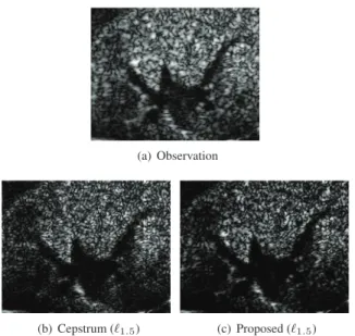 Fig. 2. Real US images.