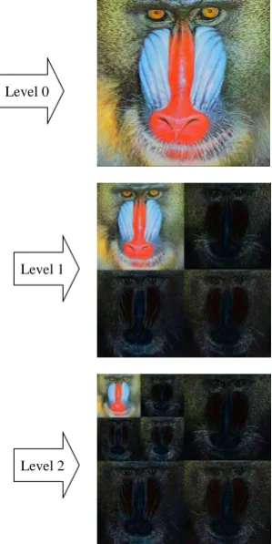 Fig. 1. The levels of Discrete Wavelet Transformation of the Baboon image 