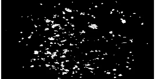 Fig. 9, where (a) is result image of removing all false HAs, (b) is result image of removing all false HAs superimposed on Fpr, (c) is final detection result image of HAs, (d) is final detection result image of HAs superimposed on F