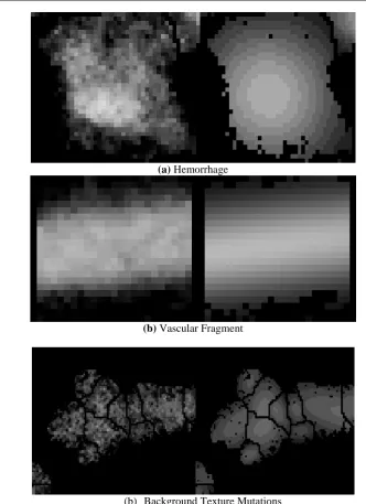 Fig. 6.(d) Result of Gaussian Fitting 