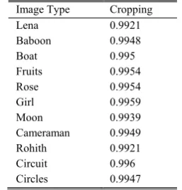 TABLE VII: NC UNDER CROPPING OF AN IMAGE 