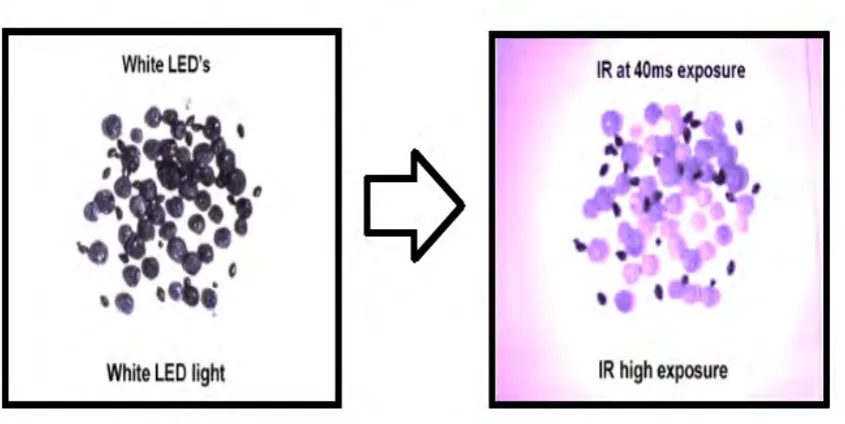 Figure 1.1: Infrared Vision for Bugs Detection 