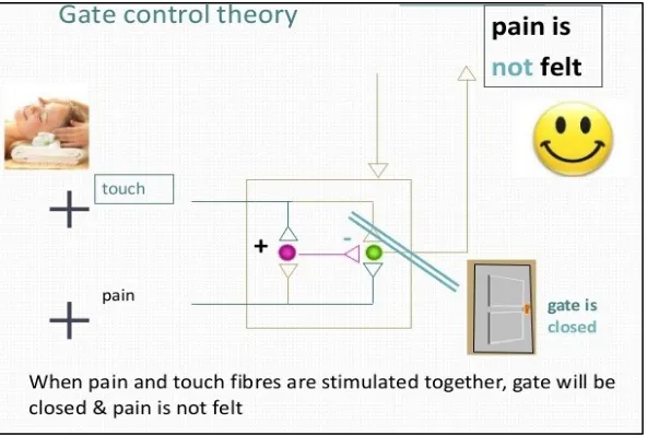 Figure 1: Pain Gate Control Theory 