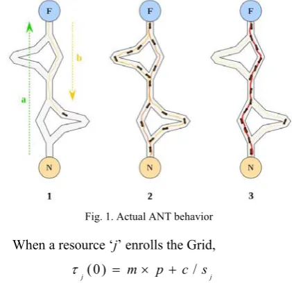 Fig. 1. Actual ANT behavior 