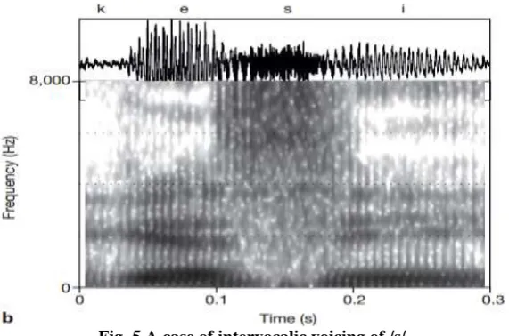 Fig. 5 A case of intervocalic voicing of /s/ 