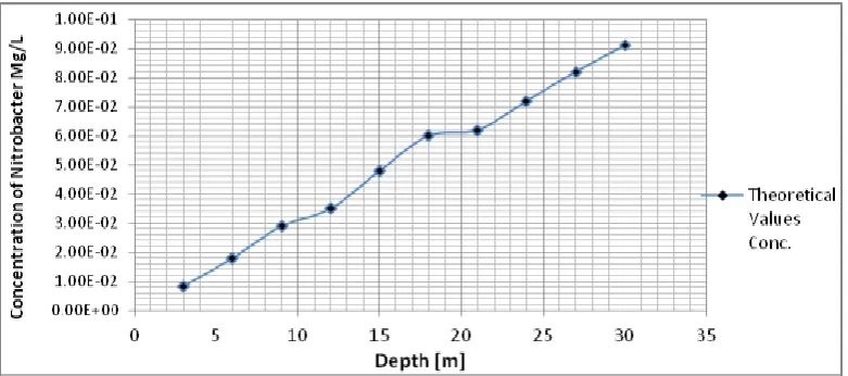 Figure 3: Theoretical and Measured values of Nitrobacter Concentration at Different Depth  