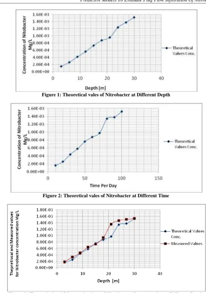 Figure 3: Theoretical and Measured values of Nitrobacter Concentration at Different Depth 