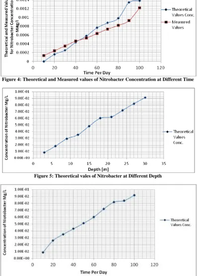 Figure 4: Theoretical and Measured values of Nitrobacter Concentration at Different Time 