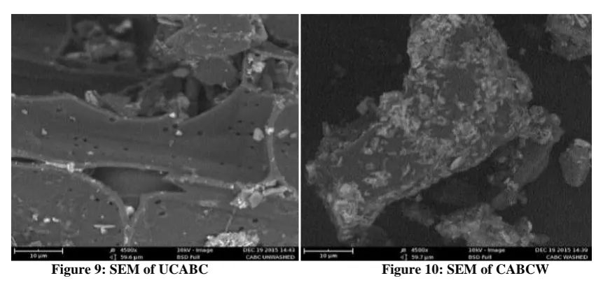 Figure 9: SEM of UCABC 