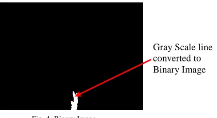 Fig. 4. Binary Image 