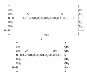 Figure 10 Crosslinking of polyamines[10] 