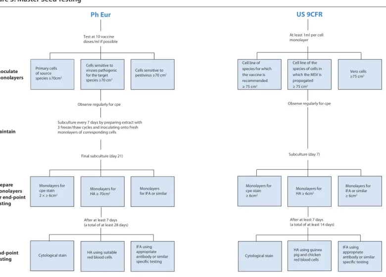 Figure 3: Master Seed Testing
