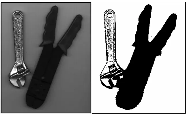 Figure 2.4: Image with threshold technique. 