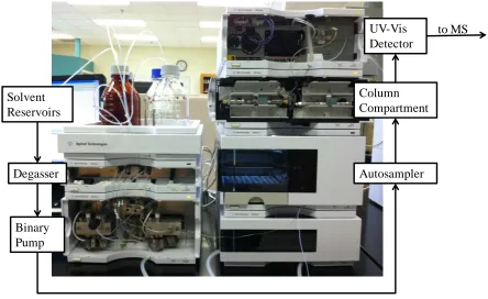 Figure 2.  HPLC schematic 