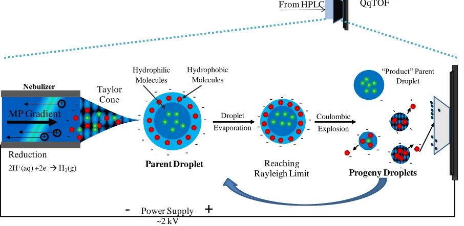 Figure 3.  Negative ESI schematic. 