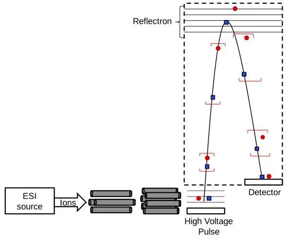 Figure 4.  Quadrupole Time-of-Flight Mass Spectrometer schematic 