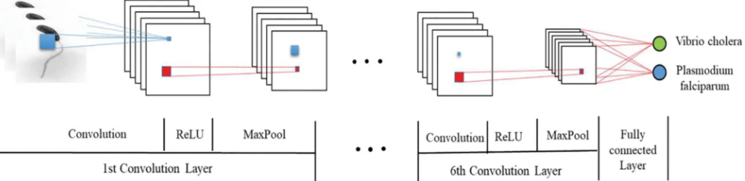 Fig. 18. complete CNN architecture for epidemic pathogen classiﬁcation