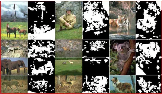 Figure 2.3: Segmentation of objects with complex background (Chen et al. 2012). 