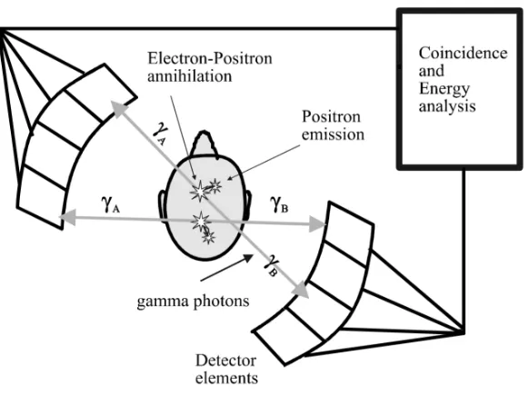 Figure 1.2: PET scan event detection. [1]