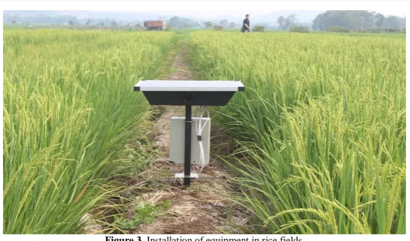 Figure 3. Installation of equipment in rice fields 