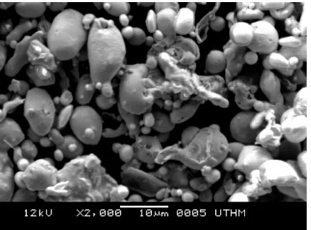 Figure 1. Morphology of the SS316L water-atomised powder.