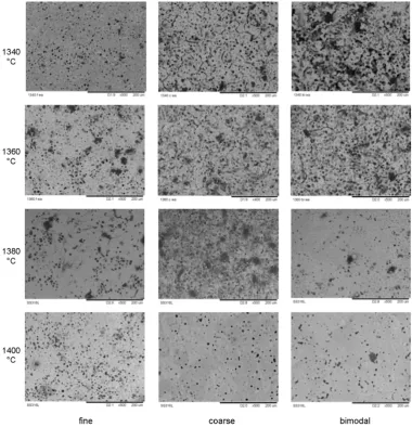Figure 3. The Scanning Electron Microscopy (SEM) image of the sintered compact.