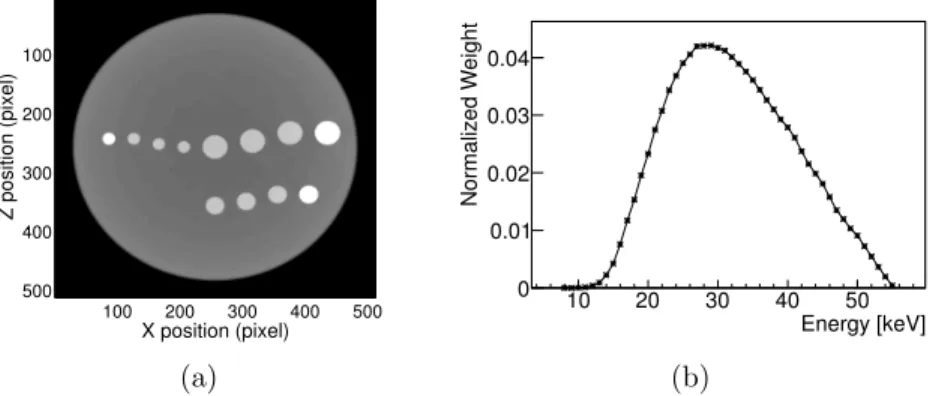 Figure 2.3: The phantom and the spectrum employed in the computer simulation. (a) A central slice through the numerical soft tissue phantom employed in the tomosynthesis  sim-ulations is shown in the left panel (viewed from above along the positive y-axis)