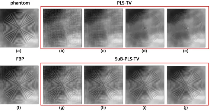Figure 3.4: The comparison of reconstructed images inside the designated ROI. (a) Phan- Phan-tom; (b)-(e) The PLS-TV method with increasing TV regularization parameter values; (f) FBP method; (g)-(j) The proposed SuB-PLS-TV method with progressively increa