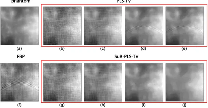 Figure 3.5: The comparison of reconstructed images outside the designated ROI. (a) Phan- Phan-tom; (b)-(e) The PLS-TV reconstruction results with increasing TV regularization parameter values; (f) FBP method; (g)-(j) The proposed SuB-PLS-TV reconstruction 