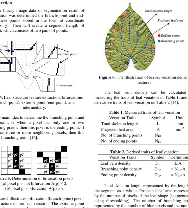 Figure 4. Leaf structure feature extraction: bifurcations  (branch-point), extreme point (end-point), and 