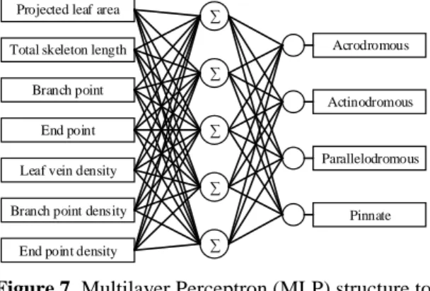 Figure 7. Multilayer Perceptron (MLP) structure to  classify type of leaf venation 