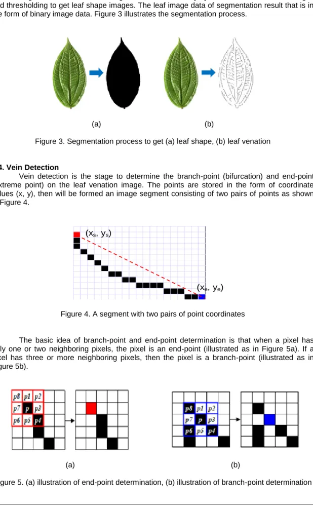 Figure 3. Segmentation process to get (a) leaf shape, (b) leaf venation 
