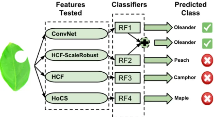 Figure 1: An overview of the experiments conducted in this paper. We introduce a variety of condition variations to the test dataset, like the occlusion shown on the leaf above