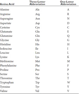 FIGURE 3: Amino acids in Proteins