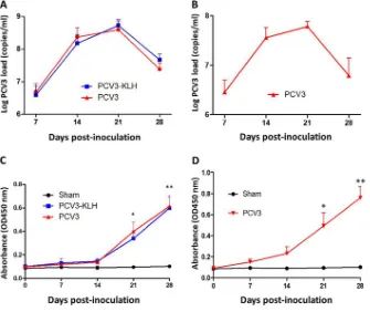 FIG 2 PCV3 loads in sera from 4-week-old (A) and 8-week-old (B) PCV3-inoculated piglets were quantita-tively assayed by real-time PCR