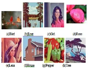 Figure 2 : A Set Of Watermarked Images 