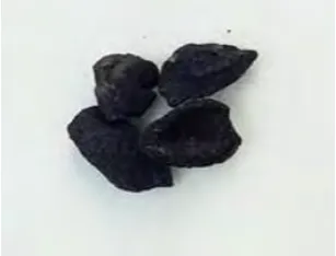 Figure 2.2: Palm Kernel Shell (source from http://envirocarbon.com.my) 