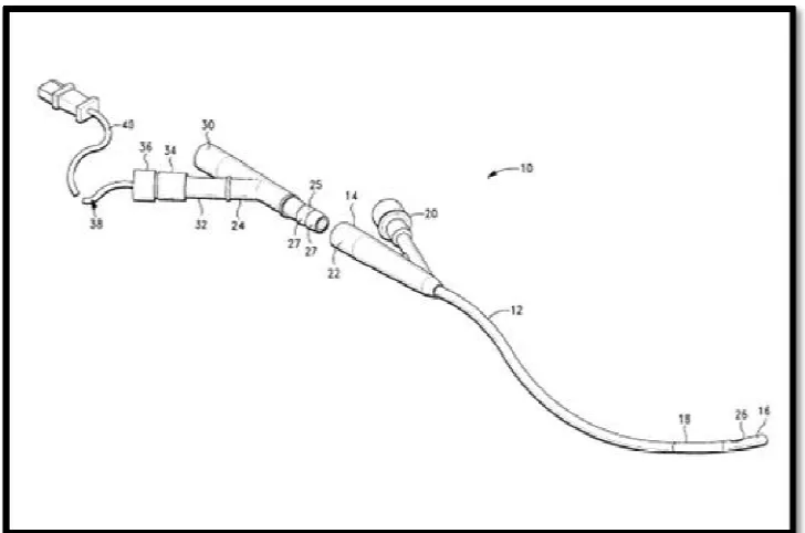 Figure 1.2: Foley Catheter Designated with Reference Numeral 10 [9] 