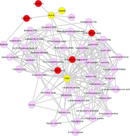 Figure 2. AS preferred metabolites complex network. The pink node represents the metabolite, red node represents the top 5 metabolites, and the yellow represents the seed node.