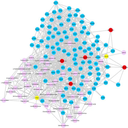 Figure 4. AS candidate metabolite co-expression gene network. The blue node represents the gene, pink node rep-resents the metabolite, and yellow represents the seed node.