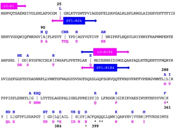 Figure 3 contains the amino acid sequences of both phages, which are �identical. Although differences were observed throughout the sequence, they tendedto cluster in small groups