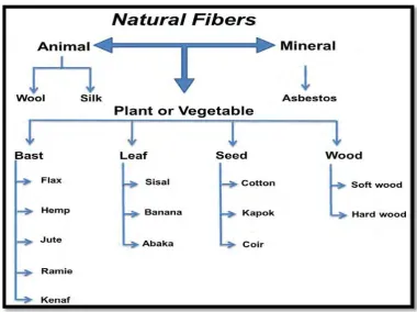 Figure 2.1 : Classification of natural fibres according to their origin with examples 