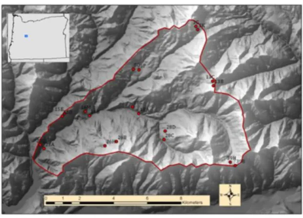 Figure 3.  Map showing the location of the Andrews Forest in the  central western Cascades, Oregon with 20 moth trap sites (red dots)
