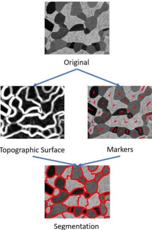Fig. 5. Illustration of Watershed Transform. (For interpretation of the references to colourin this ﬁgure legend, the reader is referred to the web version of this article.)