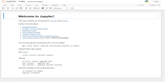 Figure 2.1: Example of a Jupyter Notebook running in a web browser [38].