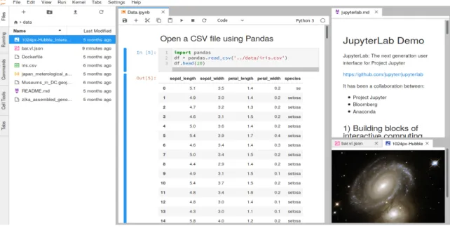 Figure 2.3: The new JupyterLab user interface currently in development. Eventually JupyterLab will replace the classic Jupyter Notebook [40].