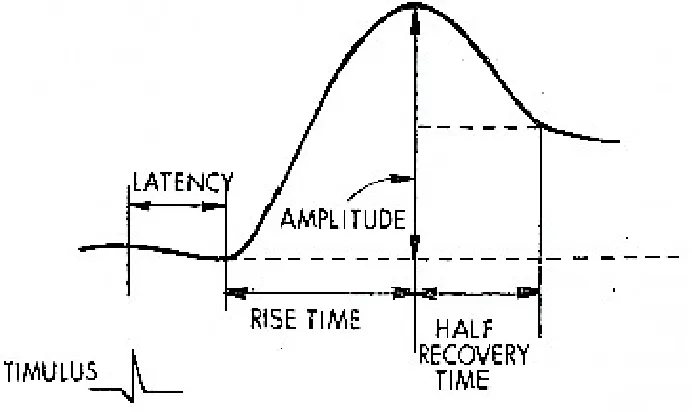 Figure 2.1: EDA signal components[24]